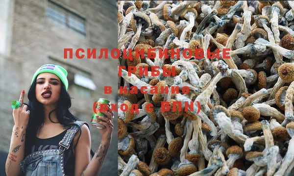 ГАЛЛЮЦИНОГЕННЫЕ ГРИБЫ Алексеевка