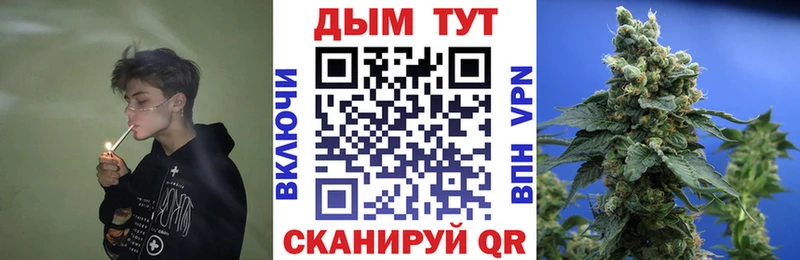 закладка  Курган  Шишки марихуана THC 21% 